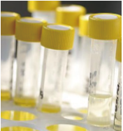 1624004345724588aS7q.png image.png